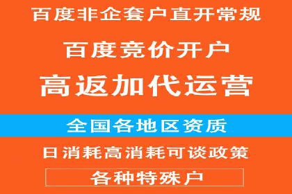 某企业通过百度广告实现品牌提升的历程